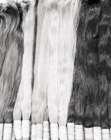 Stephan-Redel-0544-714-0079