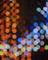 Stephan-Redel-0548-877-0806