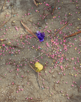 Stephan-Redel-0550-866-6145