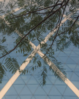 Stephan-Redel-0551-866-1025