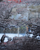 Stephan-Redel-0552-780-0474