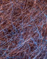 Stephan-Redel-0554-925-0723