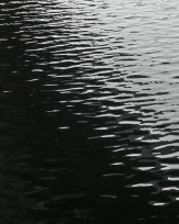 Stephan-Redel-0567-996-08334