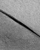 Stephan-Redel-0572-919-01418