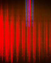 Stephan-Redel-0578-877-0600