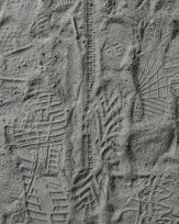 Stephan-Redel-0588-885-01131