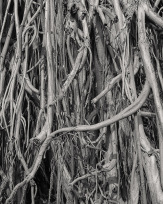 Stephan-Redel-0647-866-6453