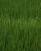 Stephan-Redel-0649-866-6224