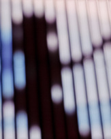 Stephan-Redel-0656-847-02762