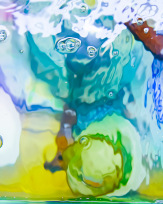 Stephan-Redel-0664-866-1811