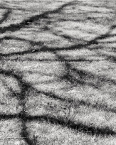 Stephan-Redel-0681-902-07286