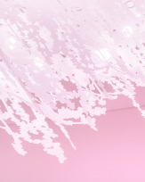 Stephan-Redel-0702-892-0300