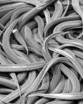 Stephan-Redel-0705-548-0780