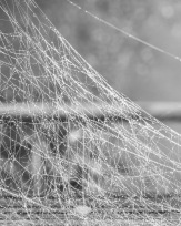 Stephan-Redel-0706-889-0082