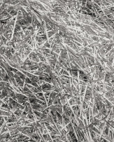 Stephan-Redel-0736-773-163