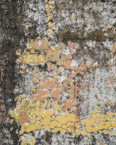 Stephan-Redel-0746-866-4427