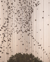 Stephan-Redel-0753-866-0487