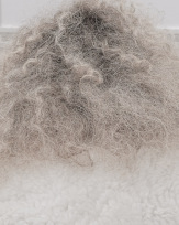 Stephan-Redel-0754-892-0678