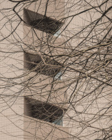 Stephan-Redel-0756-866-1380