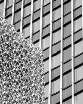 Stephan-Redel-0767-866-1455