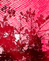 Stephan-Redel-0786-780-2788