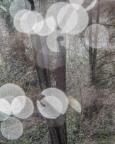 Stephan-Redel-0788-816-9384