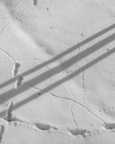 Stephan-Redel-0790-950-03668