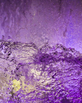 Stephan-Redel-0808-780-0441