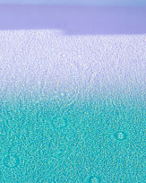 Stephan-Redel-0809-764-09544