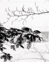 Stephan-Redel-0812-780-0823