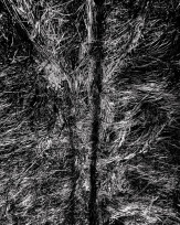 Stephan-Redel-0818-752-054