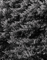 Stephan-Redel-0819-752-027