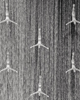 Stephan-Redel-0820-472-0002