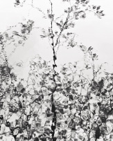 Stephan-Redel-0823-548-2276