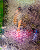 Stephan-Redel-0825-714-1145