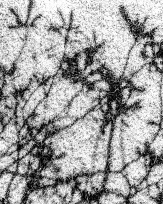 Stephan-Redel-0828-548-3790