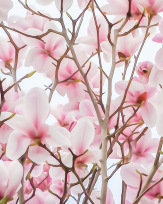 Stephan-Redel-0833-548-5228