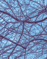 Stephan-Redel-0845-810-03405