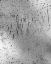 Stephan-Redel-0860-791-02616